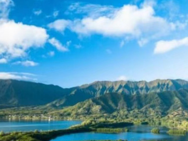 2021年危險廢物污染環(huán)境防治信息公示